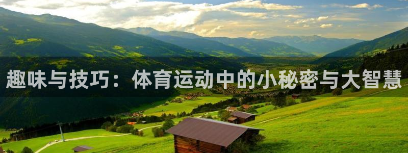 米兰体育app：趣味与技巧：体育运动中的小秘密与大智慧