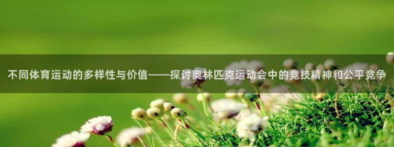 米兰体育场：不同体育运动的多样性与价值——探讨奥林匹克运动会中的竞技精神和公平竞争