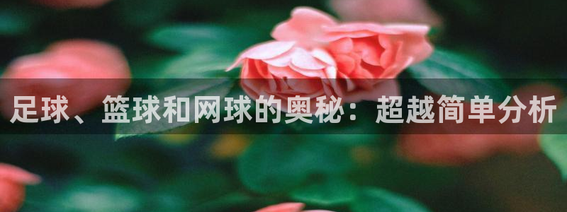 米兰体育在线：足球、篮球和网球的奥秘：超越简单分析