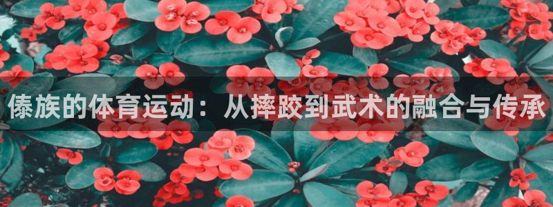 米兰体育最新版下载：傣族的体育运动：从摔跤到武术的融合与传承