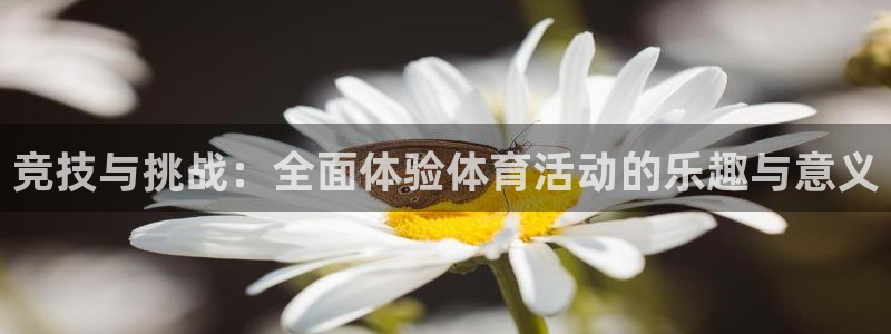 米兰体育下载官网最新版：竞技与挑战：全面体验体育活动的乐趣与意义